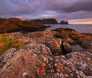 Wyspa Senja, Latarnia, Roślinność, Norwegia, Skały, Jesień, Morze Północne