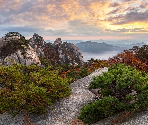 Chmury, Wschód słońca, Drzewa, Góry, Korea Południowa, Park Narodowy Bukhansan, Góra Dobongsan, Prowincja Gyeonggi-do, Skały