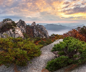 Góry, Prowincja Gyeonggi-do, Góra Dobongsan, Korea Południowa, Park Narodowy Bukhansan, Wschód słońca, Drzewa, Chmury, Skały