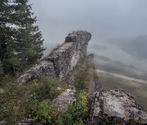 Drzewa, Rzeka, Mgła, Skały, Las