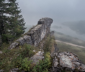 Las, Rzeka, Skały, Mgła, Drzewa