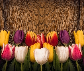 Deska, Drewno, Kolorowe, Tulipany