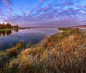 Drzewa, Jesień, Jezioro, Odbicie, Niebo, Błękitne, Chmury, Trawy