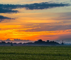 Drzewa, Pola, Kolorowe, Wiatrak, Chmury, Wschód słońca, Niebo