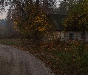 Stary, Drewniany, Jesień, Droga, Drzewa, Domek