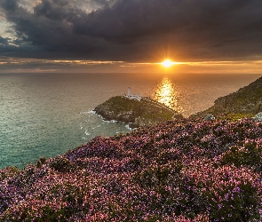 Anglesey, Morze, Zachód słońca, Walia, Wrzosowisko, Latarnia morska South Stack, Ciemne chmury