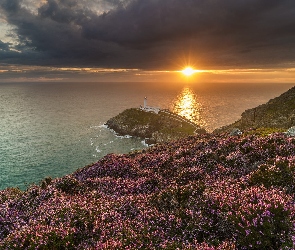 Zachód słońca, Latarnia morska South Stack, Walia, Wrzosowisko, Morze, Anglesey, Ciemne chmury