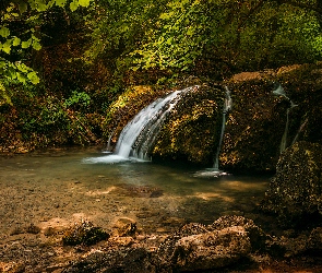 Las, Rzeka, Skała