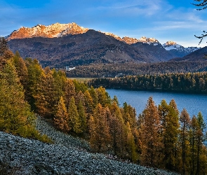 Jezioro, Kamienie, Zbocze, Drzewa, Góry