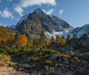 Jesień, Drzewa, Góry, Kamienie