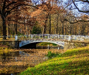 Trawa, Drzewa, Rzeka, Jesień, Mostek, Park