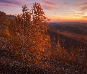 Jesień, Kamienie, Drzewa, Brzozy, Wzgórza