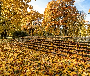 Jesień, Liście, Drzewa, Park, Schody, Pożółkłe