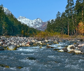 Las, Rzeka Baksan, Rosja, Kaukaz, Kamienie, Kabardo-Bałkaria, Góry