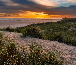 Morze, Trawa, Plaża, Wydmy, Zachód słońca