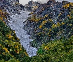 Drzewa, Kolorowe, Góry, Śnieg