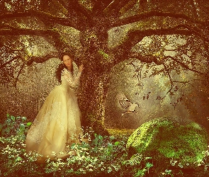Drzewo, Marzeń, Kobieta