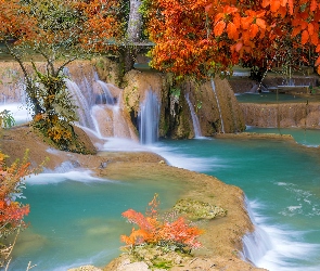 Prowincja Luang Prabang, Paprocie, Wodospad Tad Sae, Laos, Drzewa, Jesień, Skały