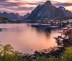 Lofoty, Góry, Norwegia, Roślinność, Wioska Reine, Domy, Skały, Morze Norweskie