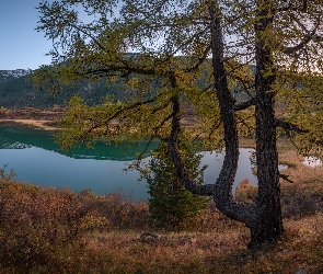 Jezioro, Jesień, Drzewa, Góra