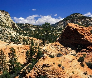 Park, Narodowy, Colorado, Wielki, Kanion, USA