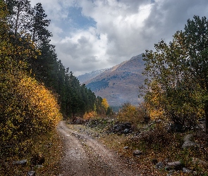 Góry, Kamienie, Droga, Trawa, Drzewa