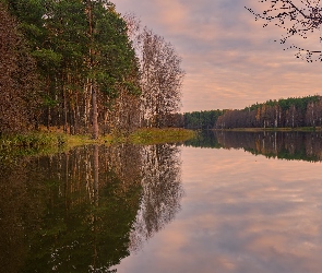 Jesień, Jezioro, Odbicie, Drzewa, Brzozy, Las