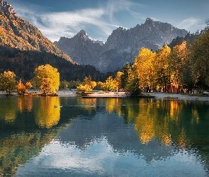 Alpy Julijskie, Góry, Słowenia, Drzewa, Jesień, Gmina Kranjska Gora, Jezioro Lake Jasna