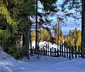 Dzień, Słoneczny, Śnieg, Zima, Płot, Drzewa