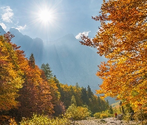 Słowenia, Dolina Vrata, Promienie słońca, Kranjska Gora, Alpy Julijskie, Góry, Góra Triglav, Drzewa, Triglavski Park Narodowy, Jesień