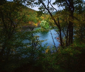 Wysepka, Drzewa, Jezioro, Góry