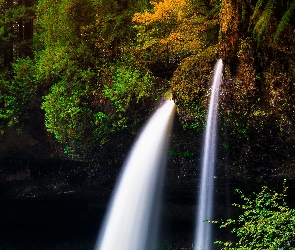 Roślinność, Stany Zjednoczone, Stan Oregon, Skały, Wodospad North Falls