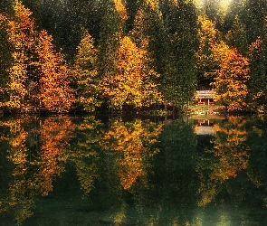 Jesień, Odbicie, Jezioro Fusine Lake, Lasy, Prowincja Udine, Drzewa, Włochy, Domek