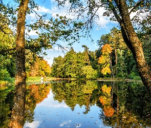 Jesień, Jezioro, Chmury, Drzewa, Niebo