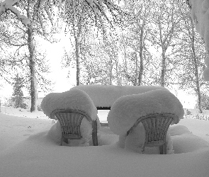 Śnieg, Krzesła, Zaśnieżone, Drzewa, Zima