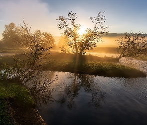 Rzeka, Mgła, Wschód słońca, Poranek, Drzewa