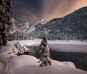 Noc, Lasy, Zima, Drzewa, Alpy Julijskie, Jezioro Fusine Lake, Włochy, Góry