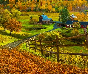 Droga, Stan Vermont, Stany Zjednoczone, Jesień, Ogrodzenie, Domy, Opadłe, Staw, Liście, Pomfret, Drzewa, Nowa Anglia