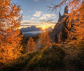 Jesień, Góry, Włochy, Promienie słońca, Dolomity, Drzewa