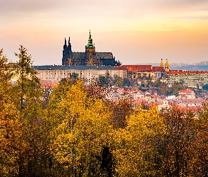 Czechy, Katedra Świętych Wita Wacława i Wojciecha, Praga, Zamek Na Hradczanach, Domy, Panorama, Jesień, Hradczany