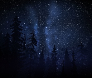 Grafika, Drzewa, Gwiazdy, Noc