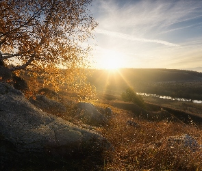 Promienie słońca, Jesień, Rzeka, Drzewo, Brzoza, Kamienie, Wzgórza