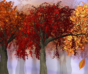 2D, Drzewa, Jesień, Kolorowe
