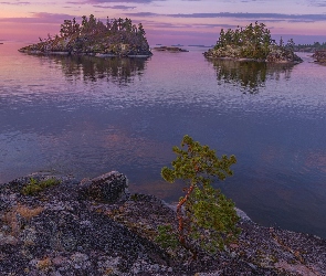Wysepki, Karelia, Rosja, Wschód słońca, Sosna, Drzewa, Skały, Jezioro Ładoga