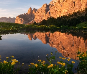 Dolomity, Góry, Włochy, Staw, Żółte, Kwiaty, Odbicie