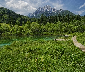 Lasy, Trawa, Góry, Rezerwat przyrody Zelenci, Kranjska Gora, Jezioro, Słowenia, Pomost