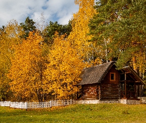 Biały, Domek, Drzewa, Płot, Drewniany, Jesień, Las