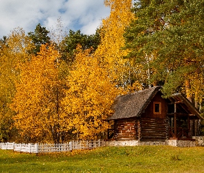 Drzewa, Jesień, Płot, Drewniany, Domek, Biały, Las