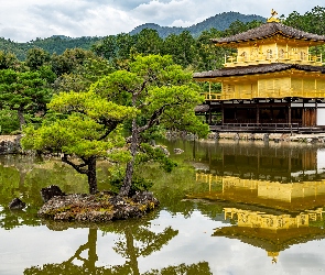 Rokuon-ji, Świątynia Kinkaku-ji, Japonia, Staw Kyko chi, Drzewa, Kioto, Złoty Pawilon