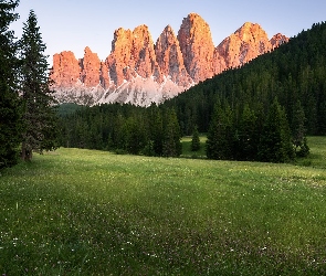 Dolomity, Lasy, Góry, Dolina Val Gardena, Polana, Masyw Odle, Włochy, Drzewa